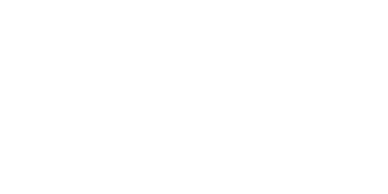Newman Coach Lines Inc